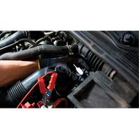 Tall Frame Brake-Pro Pressure Brake Bleeder with Adapters Seagulf Marine Industries Inc.
