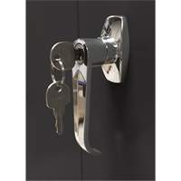Armoire d'entreposage, Acier, 4 Tablettes, 66" h x 30" la x 15" P, Noir Seagulf Marine Industries Inc.