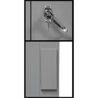 Counter-High Storage Cabinet, Steel, 2 Shelves, 42" H x 48" W x 24" D, Grey Seagulf Marine Industries Inc.