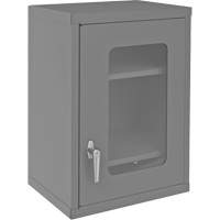 Wall-Mountable Storage Cabinet with Clearview Doors, 26-15/16" H x 18-1/8" W x 13-11/16" D, 2 Shelves, Steel, Grey Seagulf Marine Industries Inc.