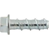 Boulons Wedge Bolts, Acier au carbone, 1/2" x 2" Seagulf Marine Industries Inc.