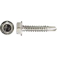 Drill-X Self-Drilling Hex Washer, #14 x 1" L, Zinc Plated Seagulf Marine Industries Inc.