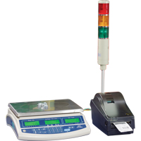 Balance pour compter Abacus AB30, Capacit&eacute; 60 lb / 30 kg, Graduations 0,001 lb / 0,5 g Seagulf Marine Industries Inc.