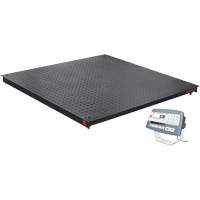 DEFENDER 5000 Floor Scale, 2500 lbs. Capacity, 48" W x 48" L Seagulf Marine Industries Inc.