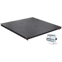 DEFENDER 5000 Floor Scale, 5000 lbs. Capacity, 48" W x 48" L Seagulf Marine Industries Inc.