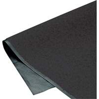 Tapis ColorStar, Essuie-pieds, 4' x 6' x 3/8", Charbon Seagulf Marine Industries Inc.