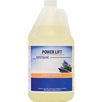 Power Lift Industrial Degreaser, 4 L, Jug Seagulf Marine Industries Inc.