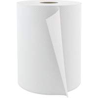 Pro Select Hardwound Hand Towels, 1 Ply, Standard, 600' L Seagulf Marine Industries Inc.