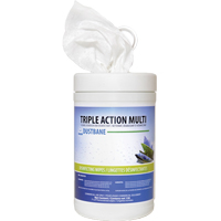 Triple Action Multi Disinfecting Wipes, 7" x 8", 120 Count Seagulf Marine Industries Inc.