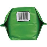 Biodegradable Hand Cleaner, Powder, 4.5 lbs., Packet, Unscented Seagulf Marine Industries Inc.