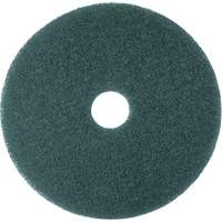 Hi-Performance Pad, 11", Cleaning/Scrubbing, Blue Seagulf Marine Industries Inc.