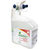 Produit concentr&eacute; pour d&eacute;tartrer, nettoyer et d&eacute;poussi&eacute;rer, Cruche, 4 L Seagulf Marine Industries Inc.