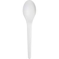 Plantware Renewable and Compostable Spoon Seagulf Marine Industries Inc.