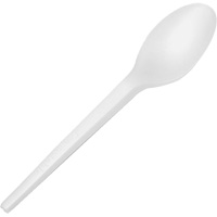 CPLA Compostable Spoons Seagulf Marine Industries Inc.