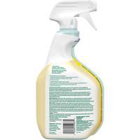 Nettoyant tout usage CloroxPro Clorox EcoClean, 946 ml, Bouteille &agrave; g&acirc;chette Seagulf Marine Industries Inc.