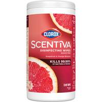 Disinfecting Wipes, 75 Count Seagulf Marine Industries Inc.