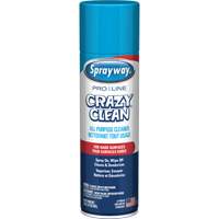 Nettoyant tout usage Pro Line Crazy Clean, 19 oz., Canette a&eacute;rosol Seagulf Marine Industries Inc.