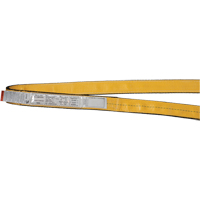 &eacute;lingues de levage en nylon, Pli Simple, Sans fin, Type 5, 1" la x 3' lo, Limite de charge verticale 3200 lb Seagulf Marine Industries Inc.
