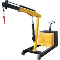 Electric Powered Floor Crane, 8.8' Lift, 1500 lbs. (0.75 tons), 44-1/4" Arm, 62-1/4" H Seagulf Marine Industries Inc.