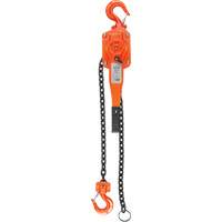 Lever Hoist, 5' Lift, 1500 lbs. (0.75 tons) Capacity, Alloy Steel Chain Seagulf Marine Industries Inc.