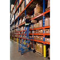 CSA-Certified Rolling Step Ladder, 4 Steps, 22" Step Width, 37" Platform Height, Steel Seagulf Marine Industries Inc.
