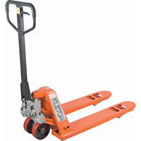 Transpalette manuel robuste, Acier, 48" lo x 20,5" la, Capacit&eacute; 5500 lb Seagulf Marine Industries Inc.