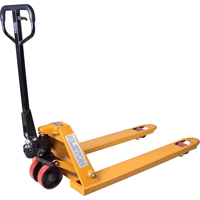 Manual Pallet Truck, Steel, 48" L x 27" W, 5500 lbs. Capacity Seagulf Marine Industries Inc.