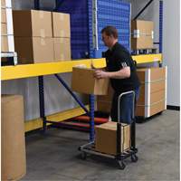 Chariot &agrave; plateforme repliable, Acier inoxydable, 300 lb, 28" lo x 16" la, Hauteur 33-1/2" Seagulf Marine Industries Inc.