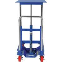 Lift Table, 30"L x 24"W, Steel, 2000 lbs. Capacity Seagulf Marine Industries Inc.