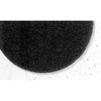 Tampons de d&eacute;capage Pro-Strip s&eacute;rie 7300, 17", D&eacute;capant, Noir Seagulf Marine Industries Inc.