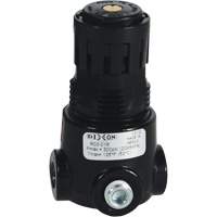Wilkerson Miniature Regulator R03, 1/8" NPT, 300 psi Max. PSI, Standard Seagulf Marine Industries Inc.