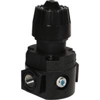 Wilkerson Compact Regulator R16, 1/4" NPT, 300 psi Max. PSI, Standard Seagulf Marine Industries Inc.