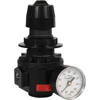 Wilkerson Regulator R26, 1/2" NPT, 300 psi Max. PSI, Standard Seagulf Marine Industries Inc.