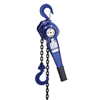 Lever Hoist with 3' Chain, 3' Lift, 500 lbs. (0.25 tons) Capacity Seagulf Marine Industries Inc.