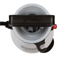 Vaporisateur Max pour entrepreneur, 1 gal. (4,5 L), Poly&eacute;thyl&egrave;ne, Lance de 14" Seagulf Marine Industries Inc.