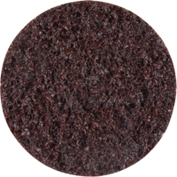 Disques de traitement des surfaces Standard Abrasives, 2" dia., Grain Cors&eacute; Seagulf Marine Industries Inc.