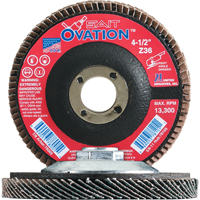 Flap Discs