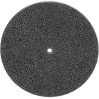 Meule unitaris&eacute;e EXL Scotch-Brite, 5" x 1/4", Arbre de 1/4", Grain de Fin, Carbure de silicium Seagulf Marine Industries Inc.