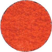 Blaze R980P Quick-Change Cloth Disc, 2" Dia., 36 Grit, Ceramic Alumina Seagulf Marine Industries Inc.