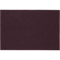 Tampons manuels Bear-Tex, Oxyde d'aluminium, 6" x 9", Grain Tr&egrave;s fin Seagulf Marine Industries Inc.