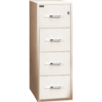 Classeurs &agrave; l'&eacute;preuve du feu, Acier, 4 tiroirs, 19-3/4" la x 31" p x 54" h, Beige Seagulf Marine Industries Inc.