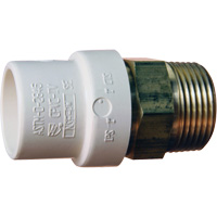 Adaptateur de tuyau filet&eacute;, Noeud x MPT, 1" dia., Laiton/PVC-C Seagulf Marine Industries Inc.