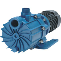 Self-Priming Magnetic Drive Pump with Carbon Bushing Seagulf Marine Industries Inc.