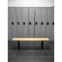 Locker Room Bench, Wood, 48" L x 9-1/4" W x 16-1/2" H Seagulf Marine Industries Inc.