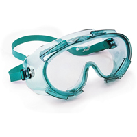 KleenGuard Monogoggle 211 Series Safety Goggles, Clear Lens, Anti-Fog, Indirect Vent Seagulf Marine Industries Inc.