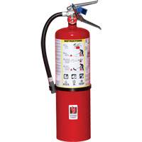 Fire Extinguisher, ABC, 10 lbs. Capacity Seagulf Marine Industries Inc.