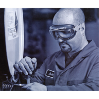 Uvex&reg; Flex Seal Safety Goggles, 3.0 Lens, Anti-Fog, Indirect Vent Seagulf Marine Industries Inc.