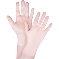 Disposable Gloves, Small, Vinyl, 4.5-mil, Powder-Free, Clear, Class 2 Seagulf Marine Industries Inc.