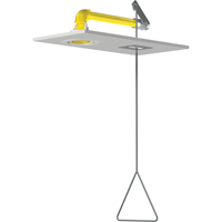 Horizontal Supply Emergency Shower Stations, Ceiling-Mount Seagulf Marine Industries Inc.