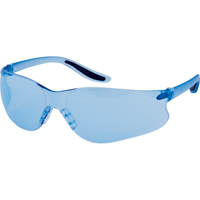 Lunettes de s&eacute;curit&eacute; s&eacute;rie Z500, Lentille Bleu, Anti-&eacute;gratignures, ANSI Z87+/R&eacute;pond ou surpasse la norme CSA Z94.3 Seagulf Marine Industries Inc.